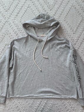 NWOT Free People FP Movement Gray Dynamite Cropped Hoodie Sweatshirt